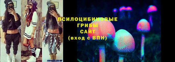 spice Дмитров