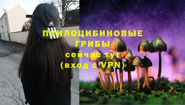 spice Дмитров