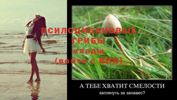 Альфа ПВП Дмитриев