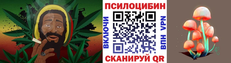 Галлюциногенные грибы GOLDEN TEACHER  Купить закладки  Межгорье 
